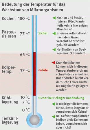 Abbildung eines Thermometers, das die kritischen Temperaturen bei Nahrungsmitteln abbildet.