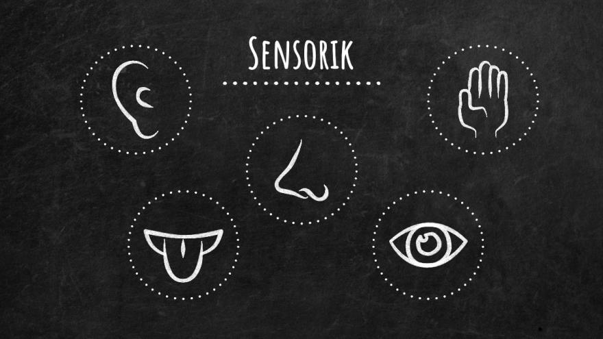 Schwarze Tafel mit Schriftzug Sensorik und Kreidezeichnungen von Ohr, Nase, Hand, Zunge und Auge