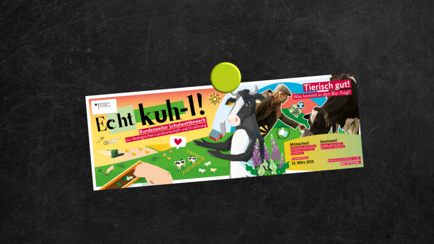 schwarze Tafel auf der der Flyer zum Echt kuhl Wettbewerb mit einem grünen Magneten befestigt ist.